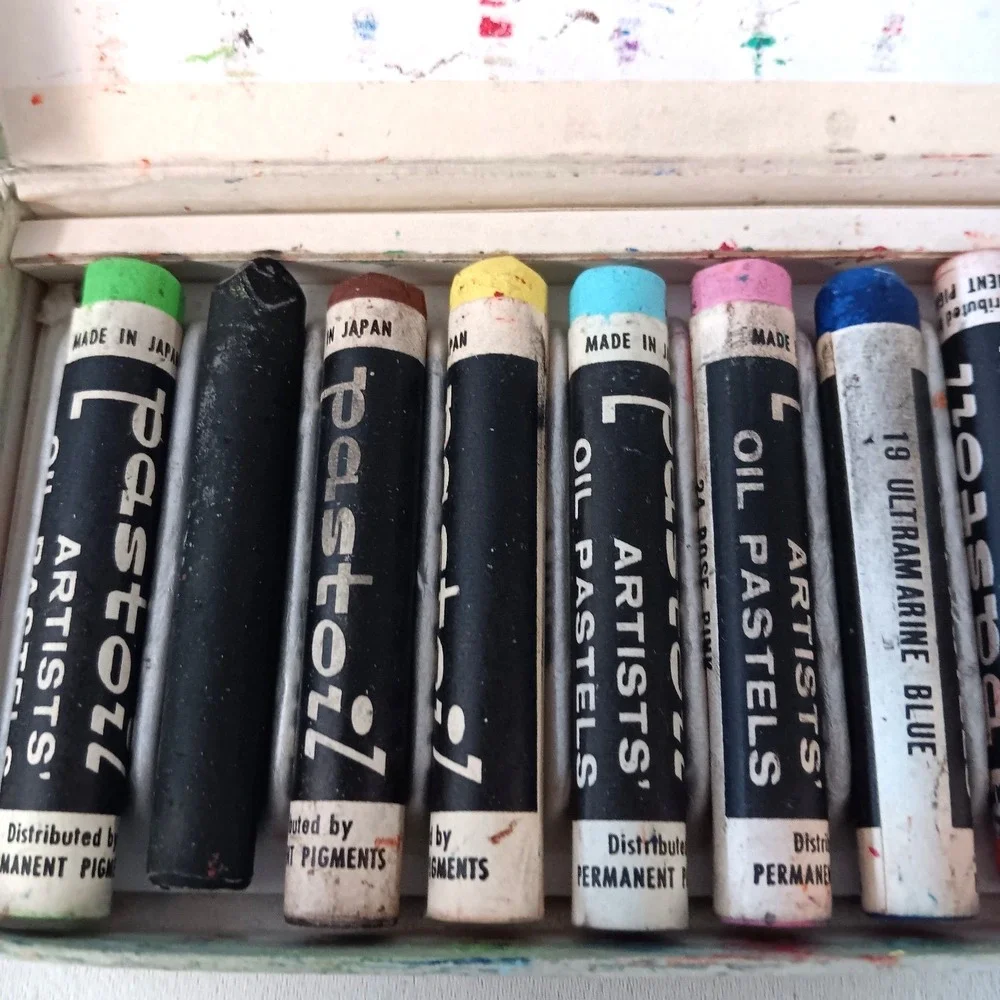 Permanent Pigments Pastoil‎ Artists Oil Pastels 16 Studio Size Sticks JAPAN Made